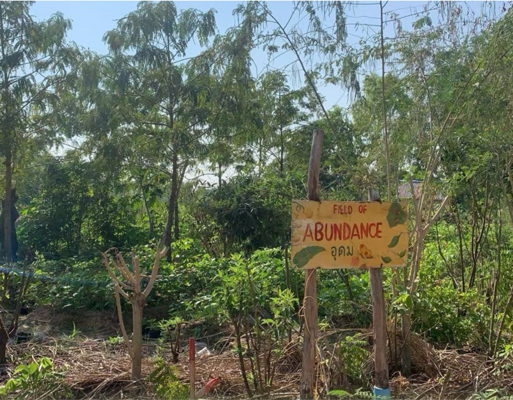 Food Forest Research